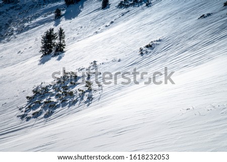 Ski concept photo, white snowy landscape in mountains, edit space