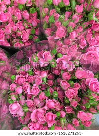Group of many pink rose bouquet background

