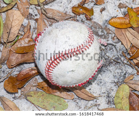 Worn and Dirty Softball on Leaves