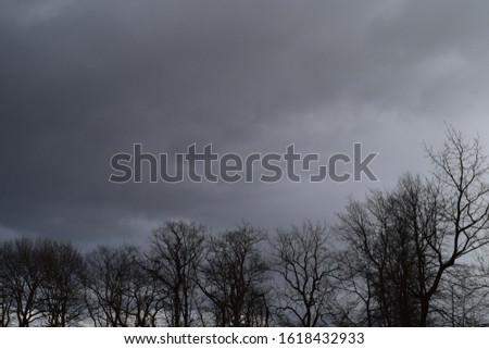 Dark cloudy sky with trees in foreground. Ideal image for print, books, covers, posters, movies, with space for copy or text.