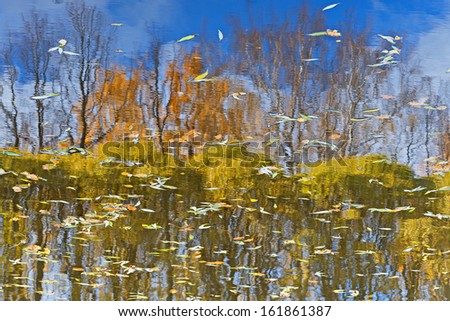 Natural background. Clear water in which the blue sky and trees are reflected and multi-colored autumn leaves float.