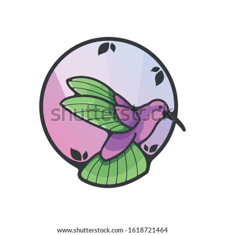 hummingbird vector colibri design a bird animal icon mascot 