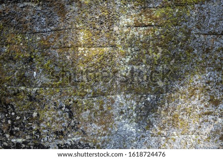 Moss texture shading background on stones