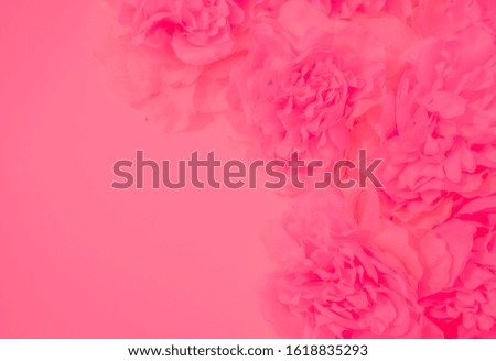 Beautiful abstract color white and pink flowers on white background and white flower frame and orange leaves background texture, flowers banner, pink background, colorful pink banner happy valentine