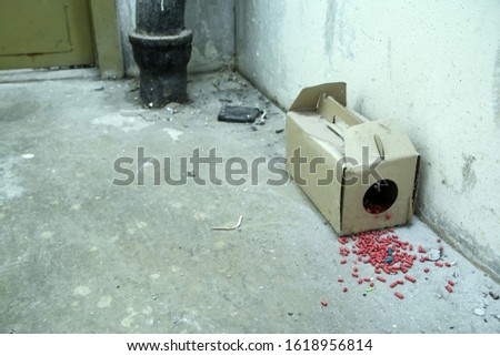 A picture of a paper rat trap with some pellets with poison outside of the box. Dangerous to touch or eat.