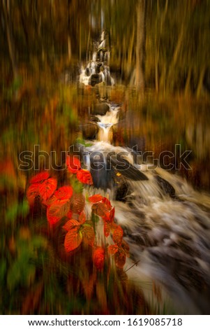 
Red autumn leaves with waterfalls in the background. Artistic edit. Autumn 2019 Sweden