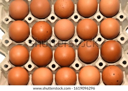 Chicken egg. Egg panel. Egg tray. Royalty-Free Stock Photo #1619096296
