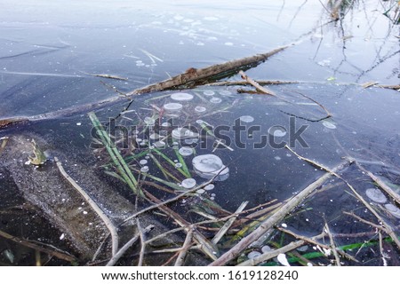 Forest lake covered in clear ice with frozen air bubbles.