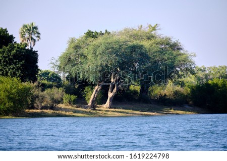 Zambesi river close to Victoria Falls, Zimbabwe 