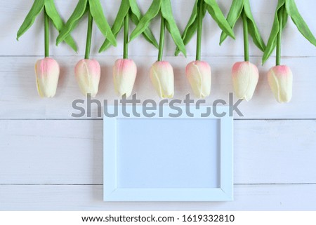 photo frame and flowers on a pink background.tulip.Copy space in the middle for your text.Womans day concept.Concept of beauty blog