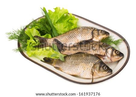 Raw Crucian on the plate with dill