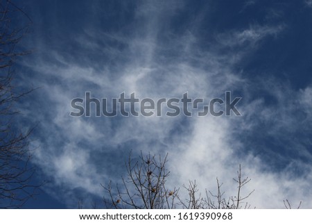A deep blue sky with light white, wisps of clouds streaming out like a spider web and tree tops along side and bottom