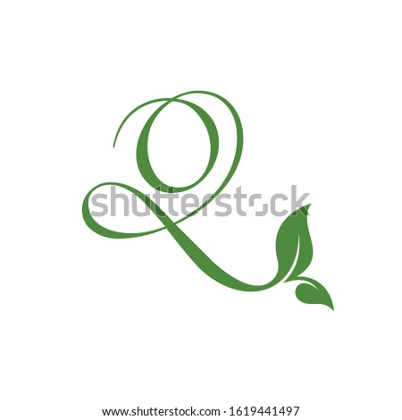 Letter Q Logo Vector With ornament Leaf