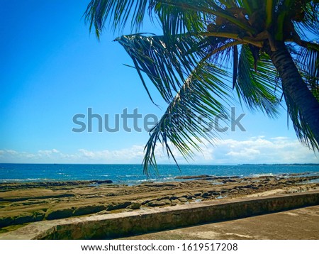 Beautiful blue sea background with rocks and coconut's tree. Located at Bak Bak Beach, Kudat, Sabah, Malaysia.