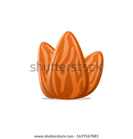 Realistic almond nut in white background vector design illustration. Sun flower seed