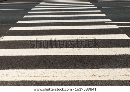Pedestrian road crossing, white marking on an asphalt road.