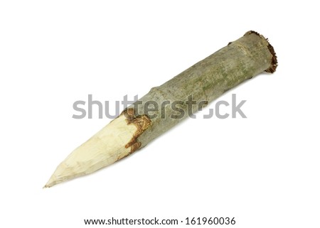 aspen stake on a white background Royalty-Free Stock Photo #161960036