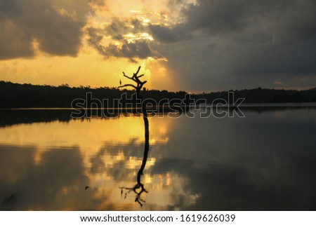 Beauty of nature does not diminish even on the shadow - Picture was taken in a natural river of Sri Lanka