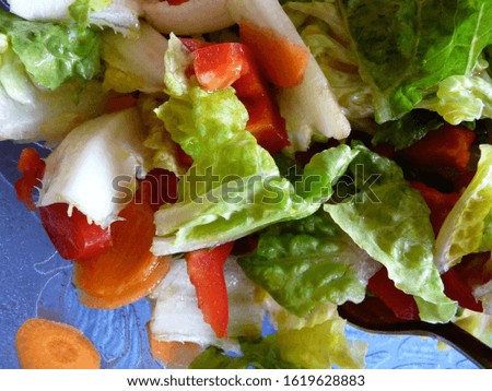 Delicious colorful healthy salad on a plate