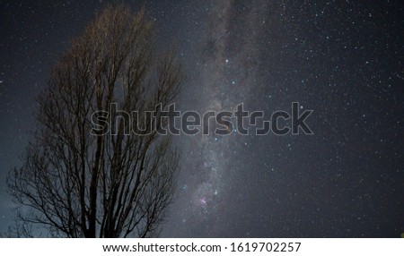 Milky way arcing over a leafless tree with a fireball meteor trail floating in the centre of the Milky Way