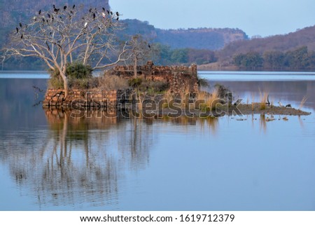 Reflection of beautiful scenery in the middle of the lake of Ranthambore national park.