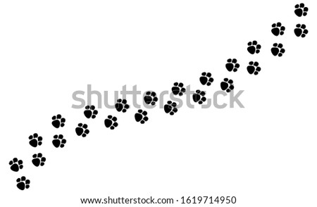 Tracks of dog or cat paws isolated on white background. Vector illustration