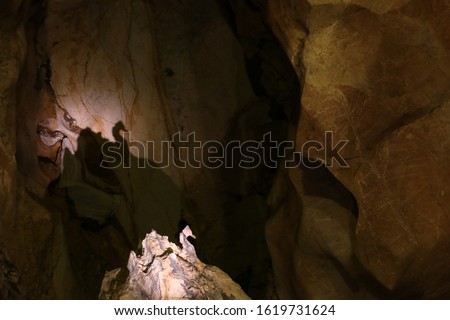The shadow of stalactites and stalagmites on the cave wall resembles a picture of a swan. Limestone cave ,Non-hunting area  Khao Kra Pook Khao Tao Mor, Petchaburi ,Thailand 