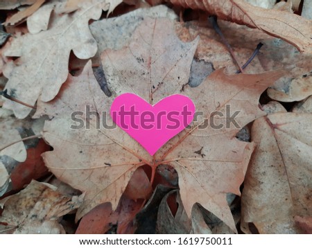 Paper hearts in fallen leaves