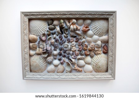 Seashells and corals composition in wooden picture frame isolated on white background
