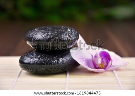 Massage stones with orchid stock images. Spa and wellness setting stock images. Pile of black stones. Black stones on a nature background. Spa-concept with zen stones and orchid flower stock images