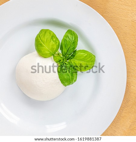 Traditional Italian Mozzarella cheese and basil leaf on white plate over wood table. Traditional Italian food 
