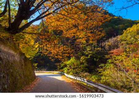 Kofu. Japan Highway to the gorge. Infrastructure Autumn canyon. Traveling in Japan by car. Tours in the cities of Japan. Road at the foot of the cliff. Nature. Landscape. Vacation in the city of kofu