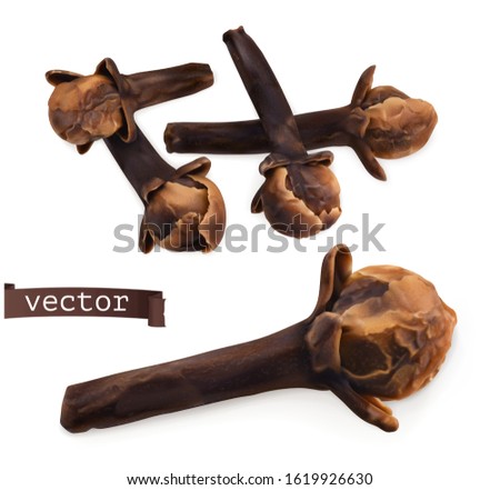 Dried cloves. 3d realistic vector Royalty-Free Stock Photo #1619926630