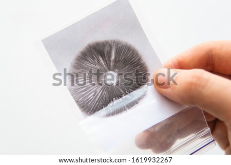 The technology of growing magic mushrooms. Spore macro psilocybe cubensis. White background. Shrooms Cultivation. Mycology and medicine. Spore imprint of psilocybin fungi.