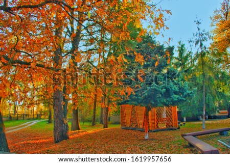 photographer Kravtsov.  beautiful wild forest, Zalesye nature reserve, pine forest, deciduous forest.  colorful autumn landscape, mirror lakes.