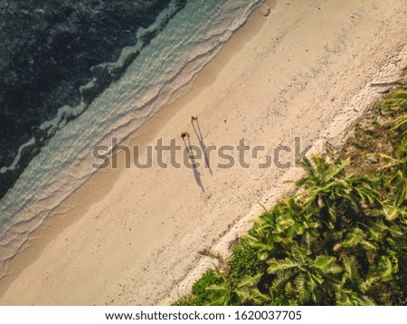 Aerial shot of two people walking on a beach, near the jungle, at sunset