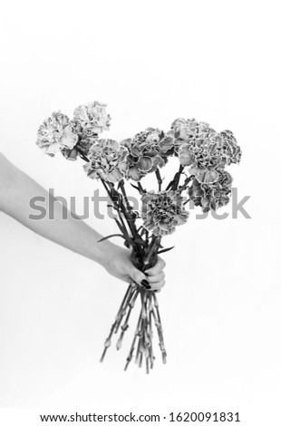 Monochrome photo of a bouquet of carnations in a hand

