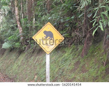 Animal road sign (monkey) in Itatiaia National Park, Lower Regions. Rio de Janeiro, Brazil.
