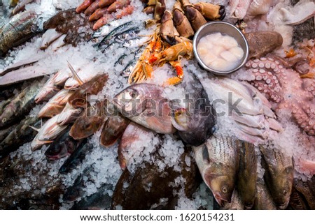 Fresh fish and seafood on ice at the market
