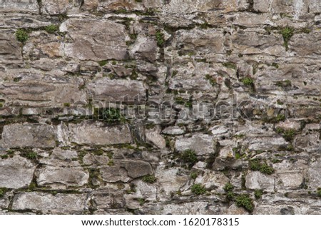 seamless texture of the old gray stone wall for the designer