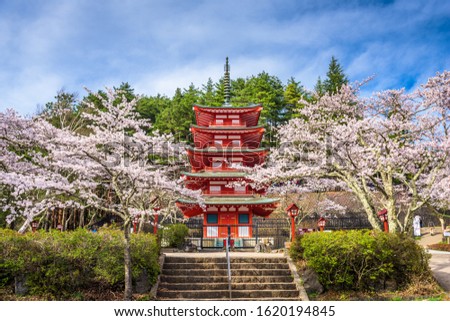 Fujiyoshida, Japan at Chureito Pagoda in Arakurayama Sengen Park during spring cherry blossom season. Royalty-Free Stock Photo #1620194845