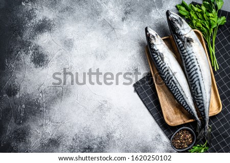 Raw mackerel fish with parsley and pepper. Fresh seafood. Gray background. Top view. Space for text