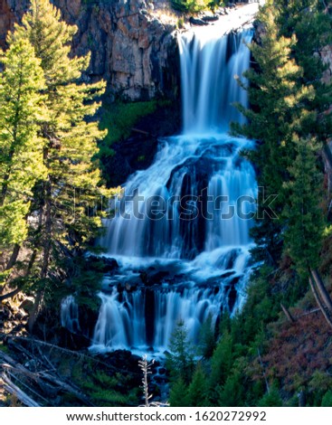 A long exposure picture showing the motion of a cascading waterfall, framed by tall pine trees