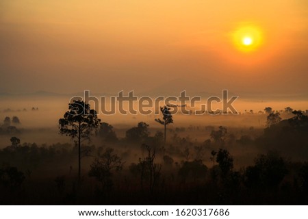 Thung Salaeng Luang is grassland savannah in Thailand. Misty morning sunrise at Thung Salaeng Luang National Park, Phetchabon, Thailand. Beautiful landscape of foggy sunrise in grassland savannah.