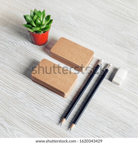 Blank stationery set. Brown paper business cards, pencils, eraser and succulent plant.