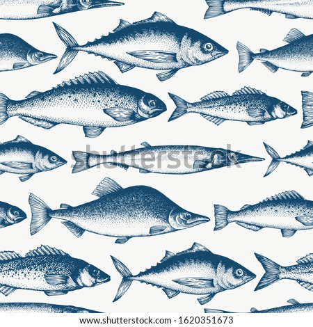 Fish seamless pattern. Hand drawn vector fishes illustration. Engraved style. Vintage different kinds of fish background.