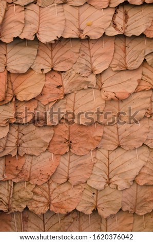 Brown pattern of dried overlap leaves of roof