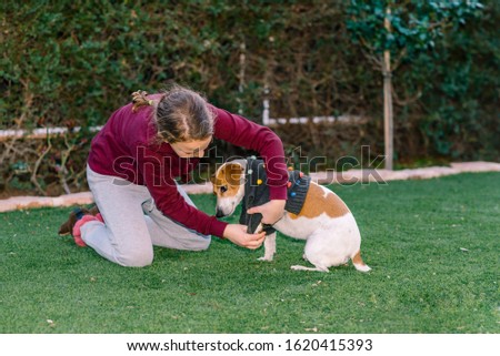 Beautiful teen girl dressing sweater on her small dog. Pet fashion.Series. Image 3.