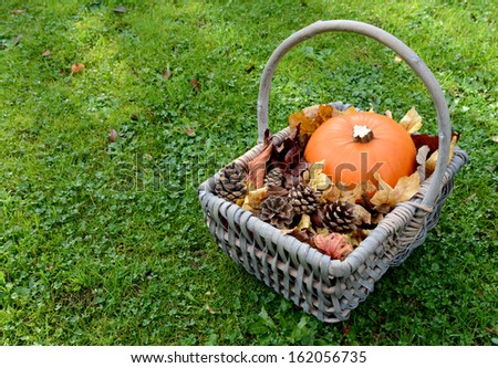 Rustic basket with pumpkin, pine cones and autumnal leaves on green grass 