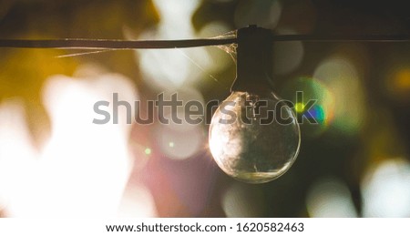  light bulb on green bokeh background.